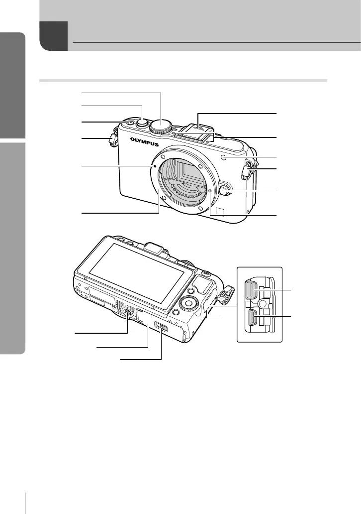 Page #10 background image