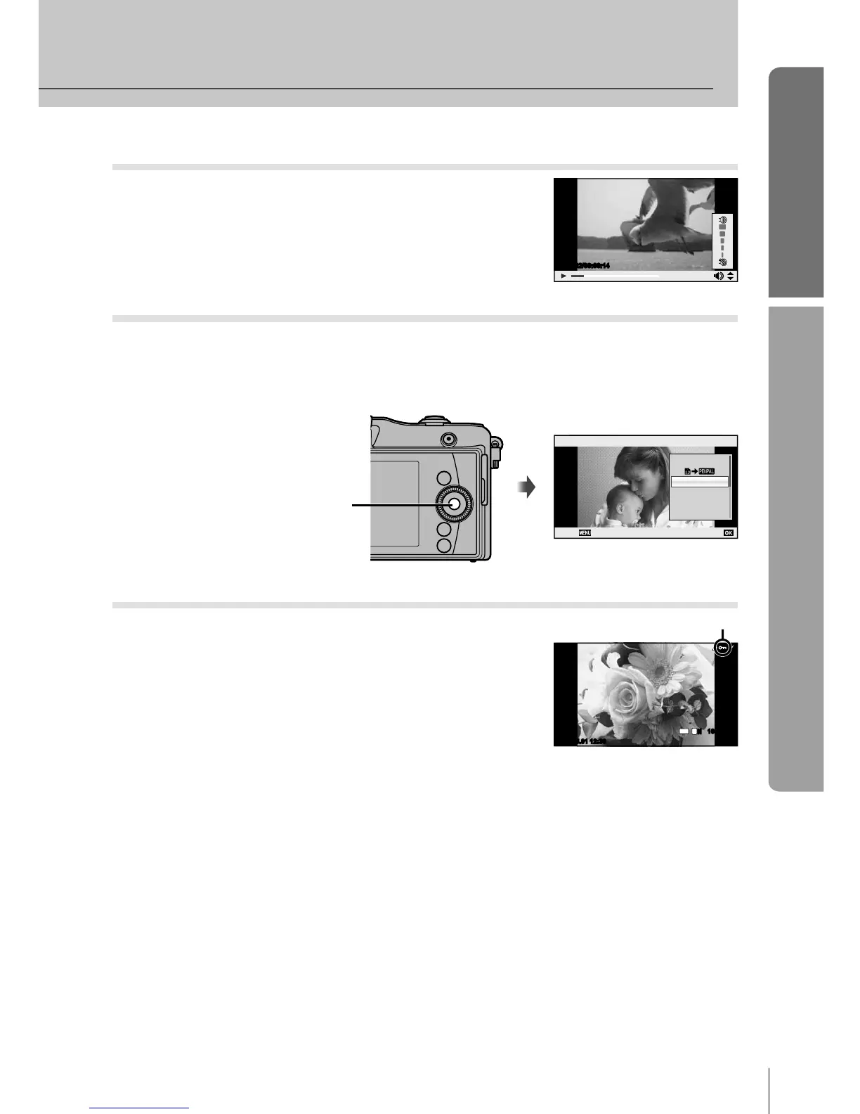 Page #17 background image