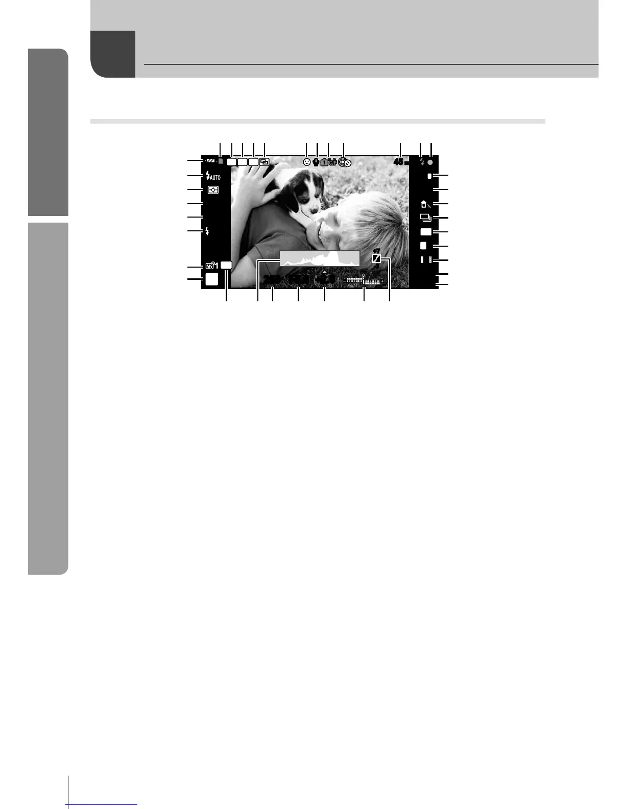 Page #24 background image