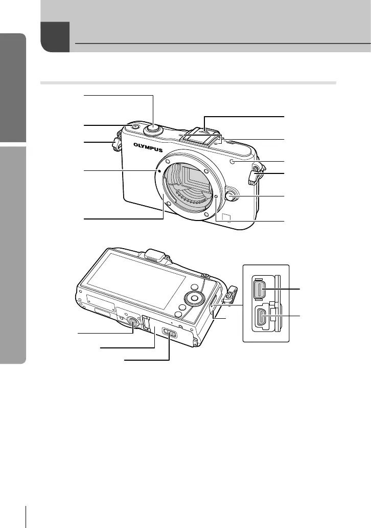 Page #10 background image