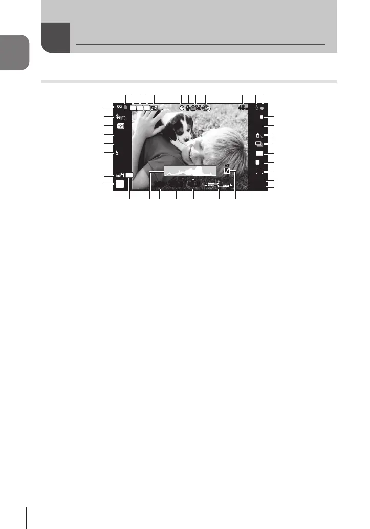 Page #24 background image