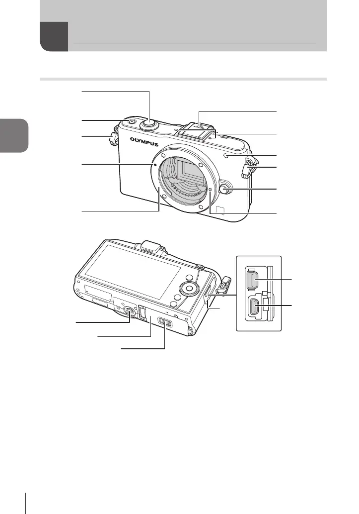 Page #66 background image