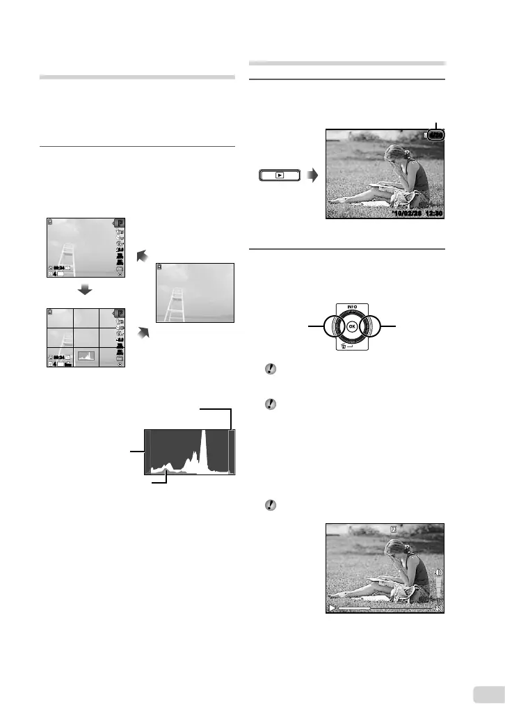 Page #17 background image