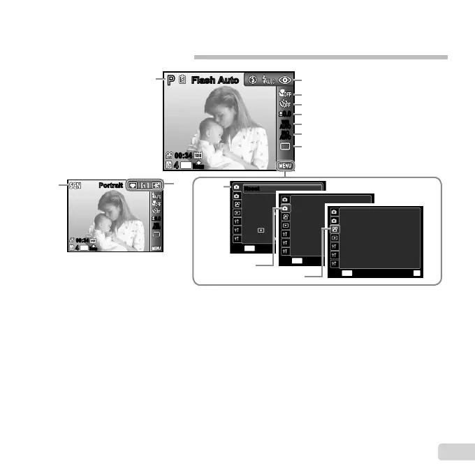 Page #7 background image