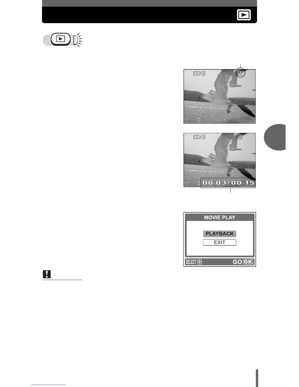 Page #43 background image