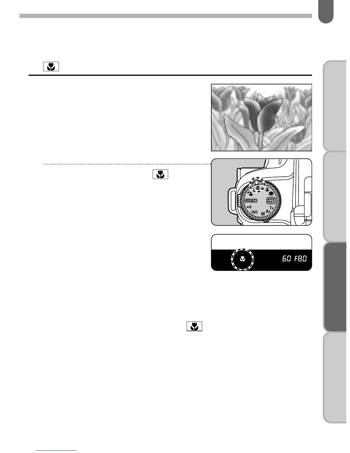Page #73 background image