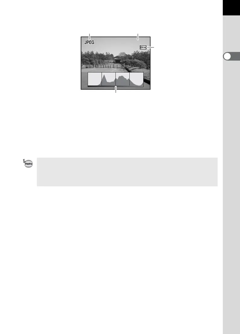 Page #21 background image