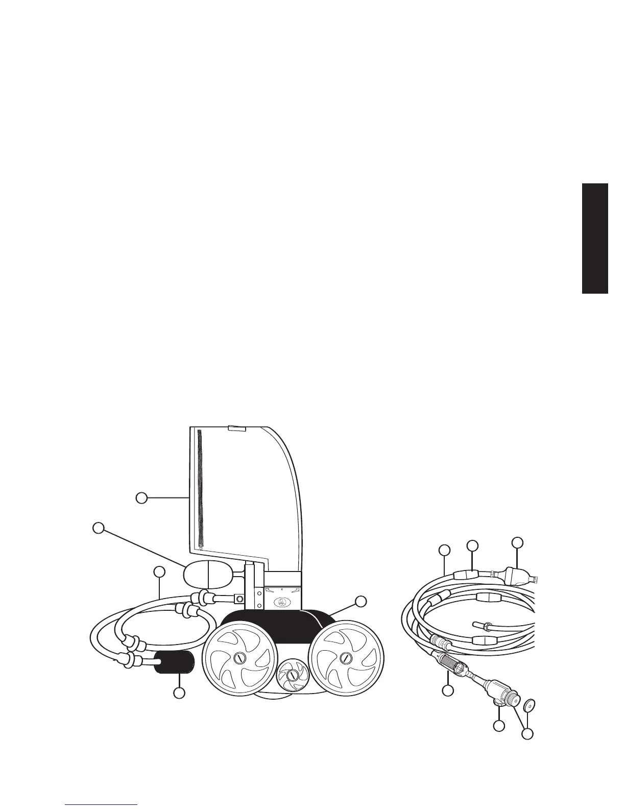 Page #13 background image