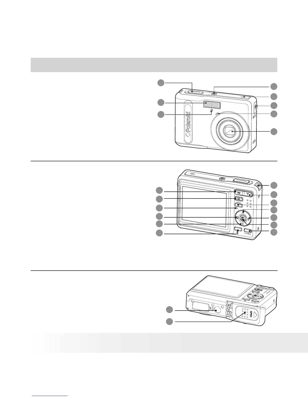 Page #2 background image