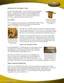 Preview: Brochure