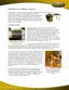 Preview: Brochure
