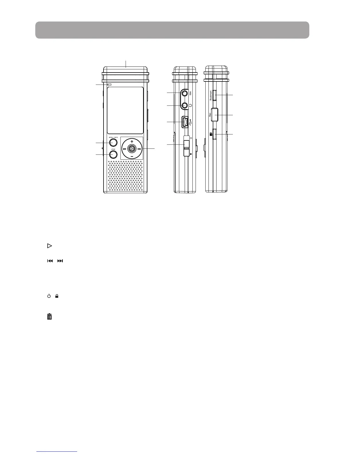 Page #13 background image