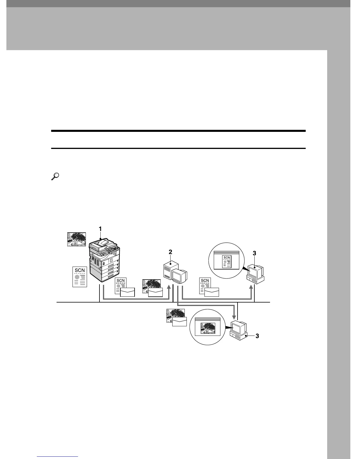 Page #219 background image