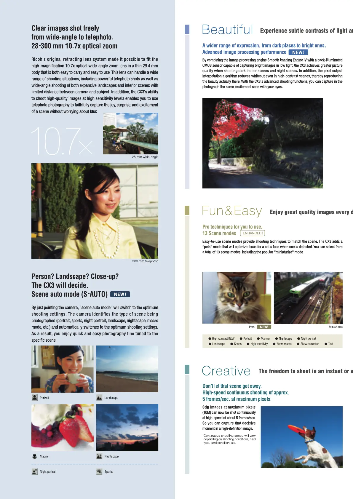 Page #3 background image