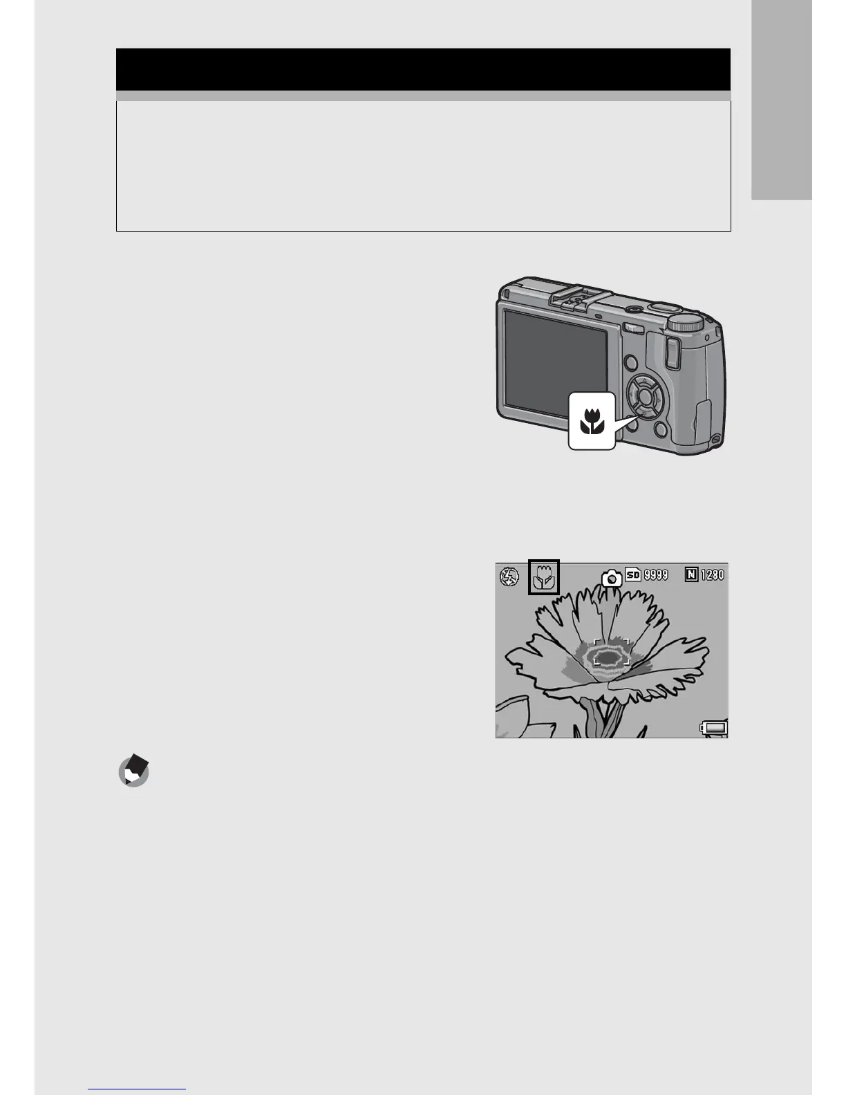 Page #45 background image