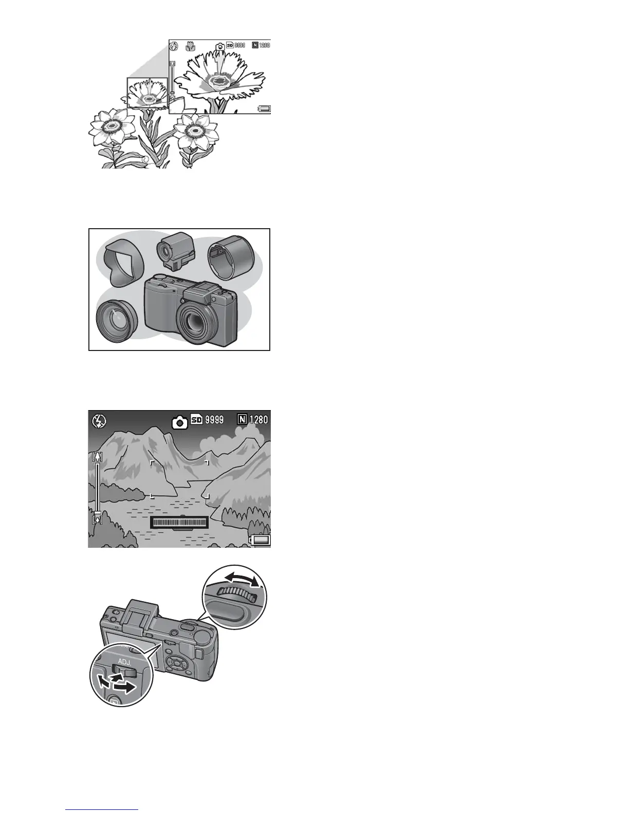 Page #8 background image