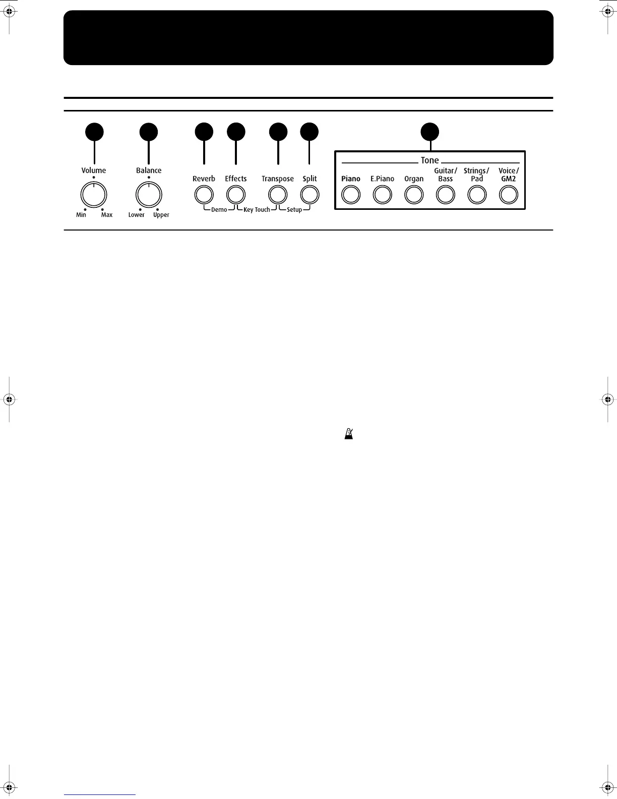 Page #6 background image