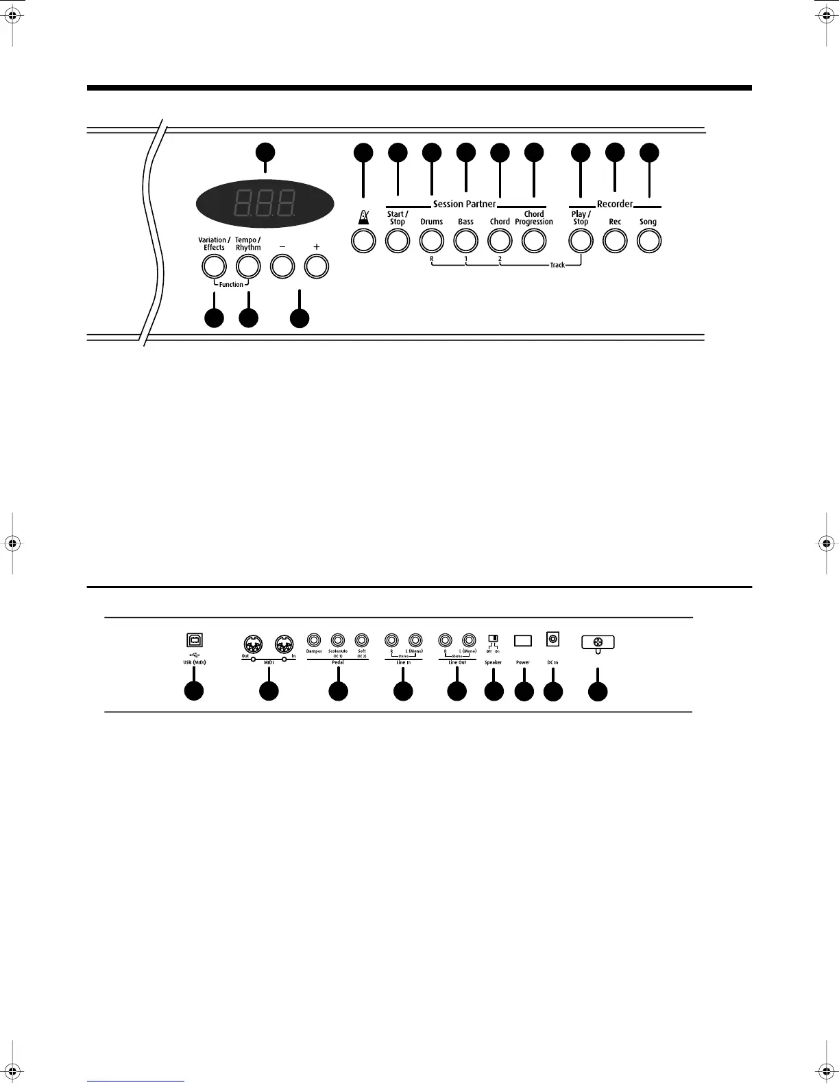 Page #7 background image