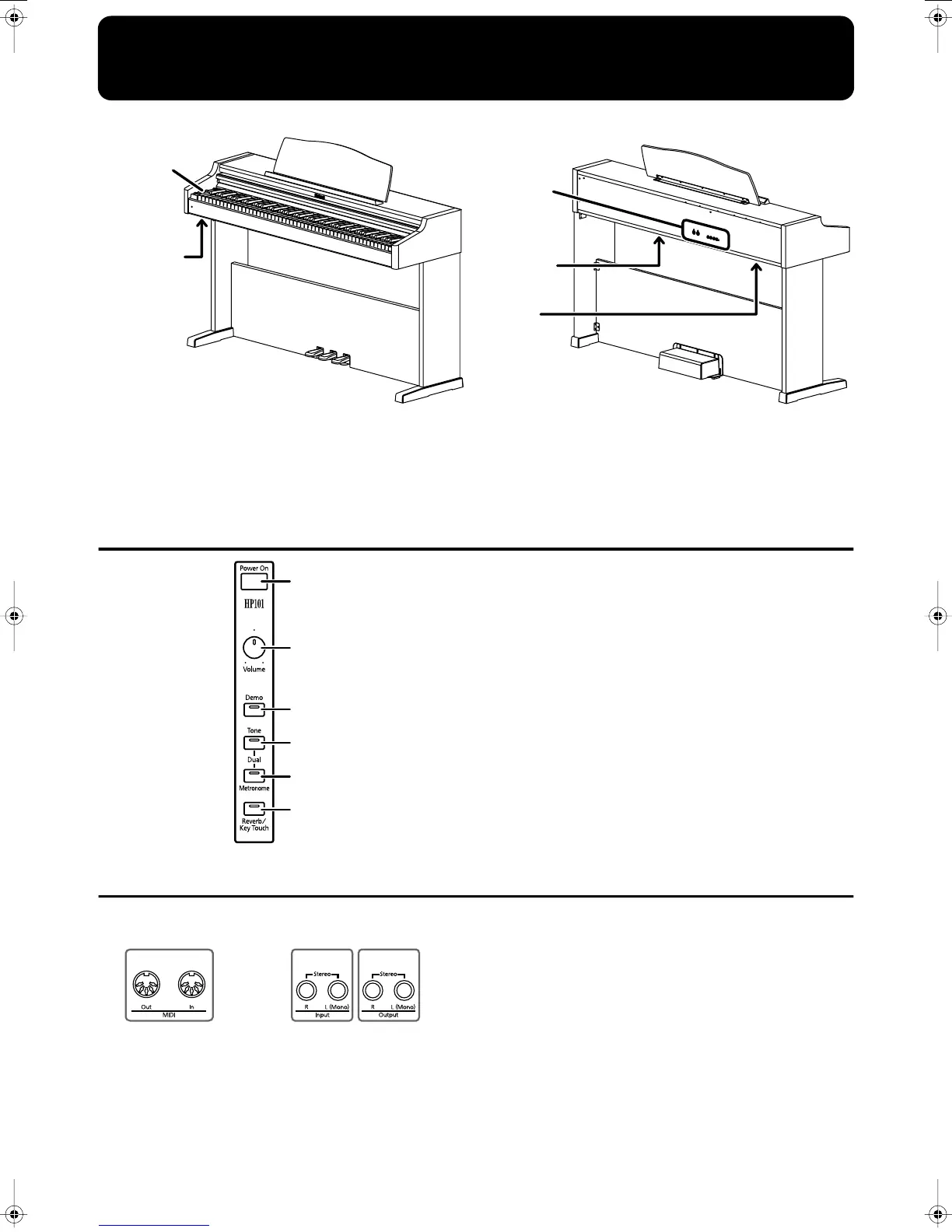 Page #7 background image