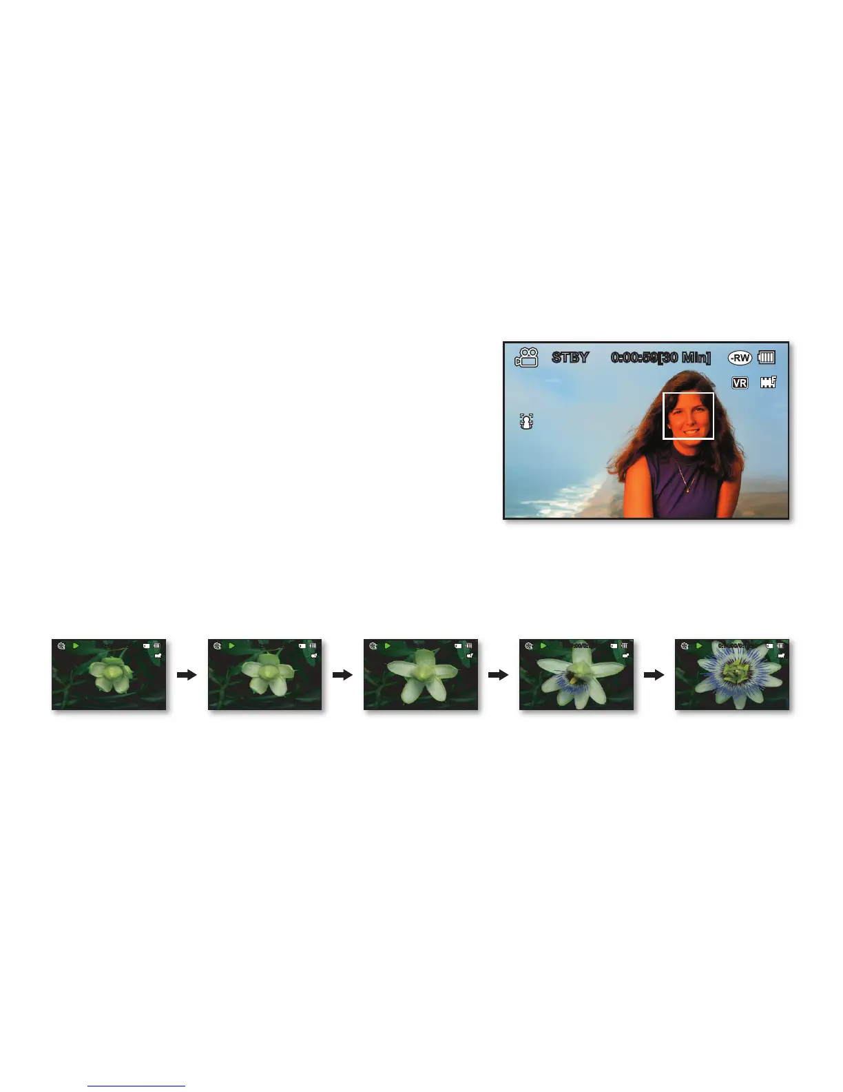 Page #3 background image