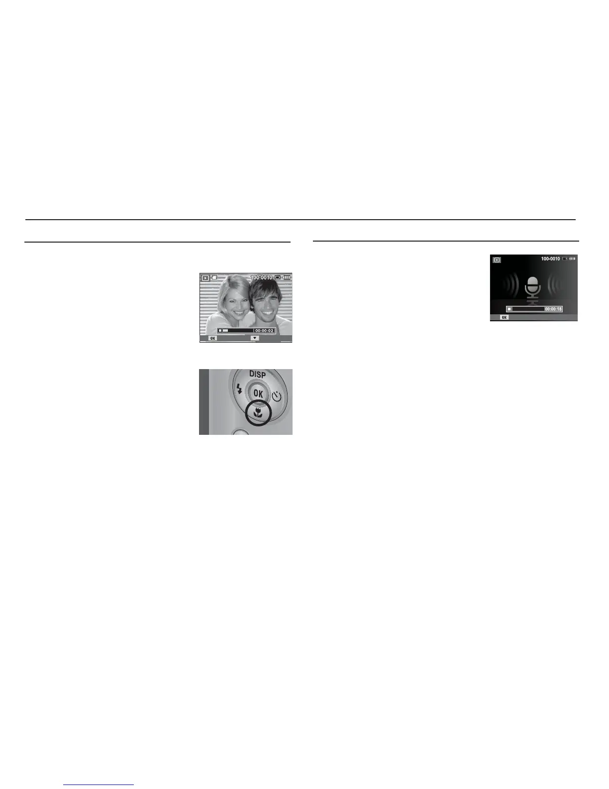 Page #55 background image