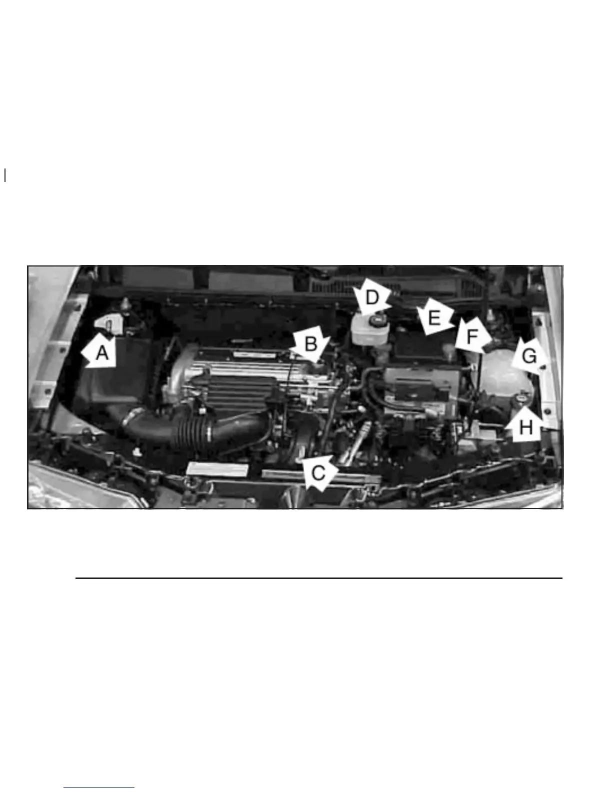 Page #242 background image