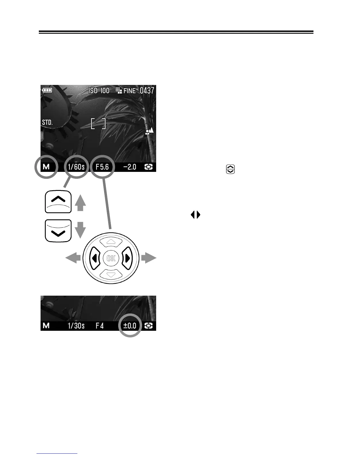 Page #46 background image