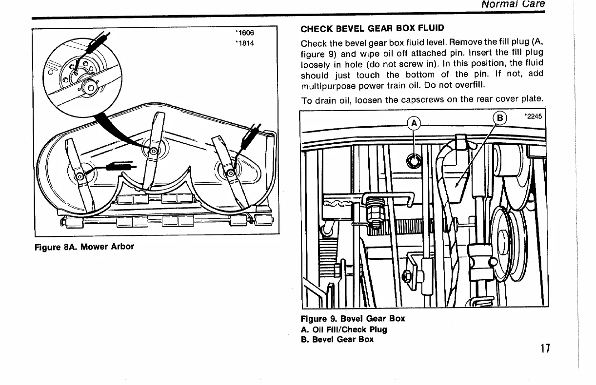 Page #19 background image