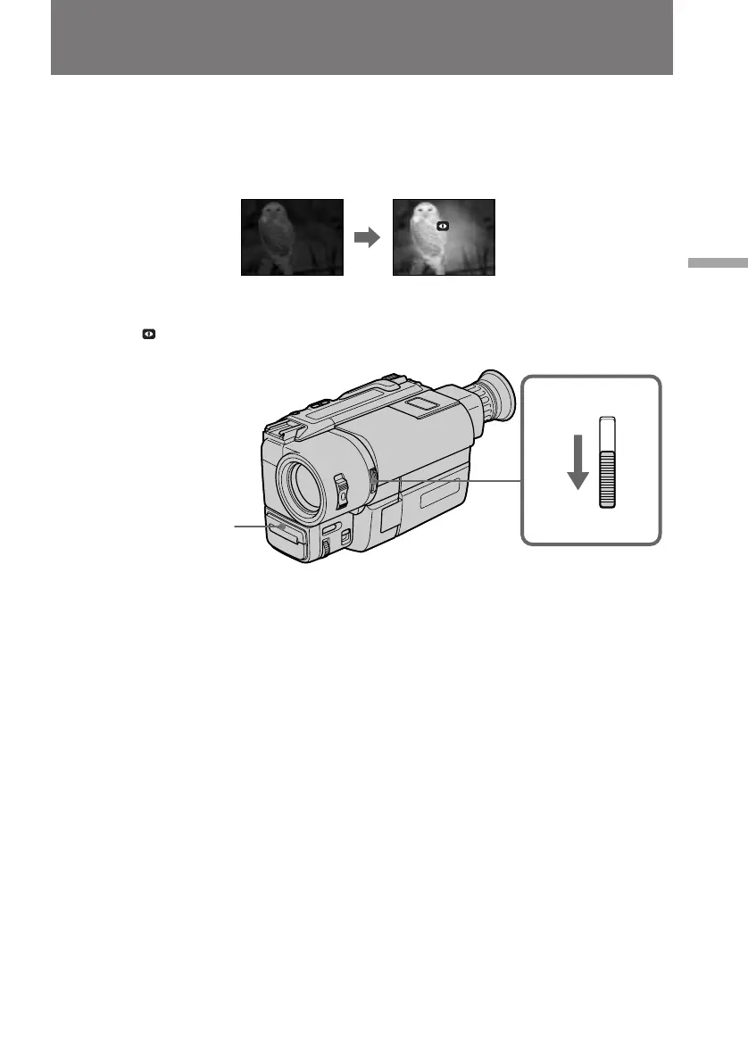 Page #37 background image