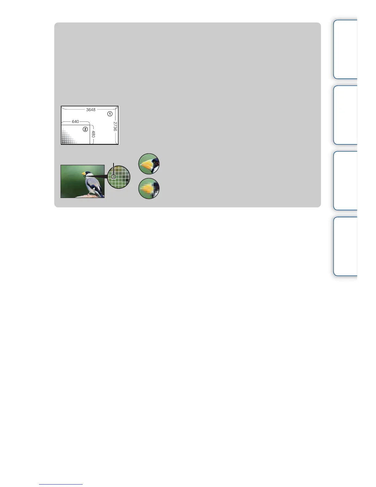 Page #81 background image