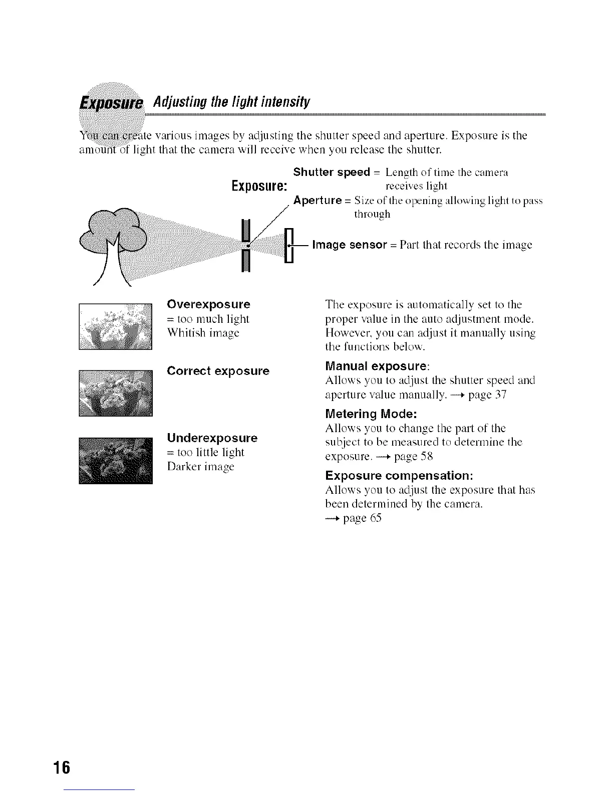 Page #16 background image