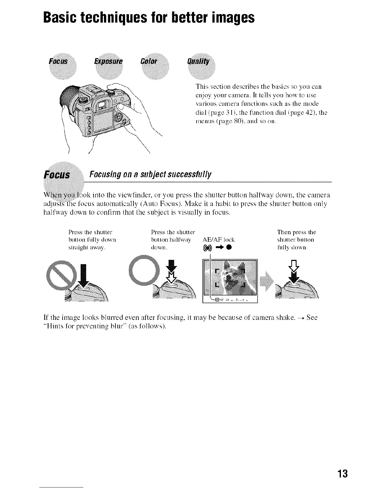 Page #13 background image