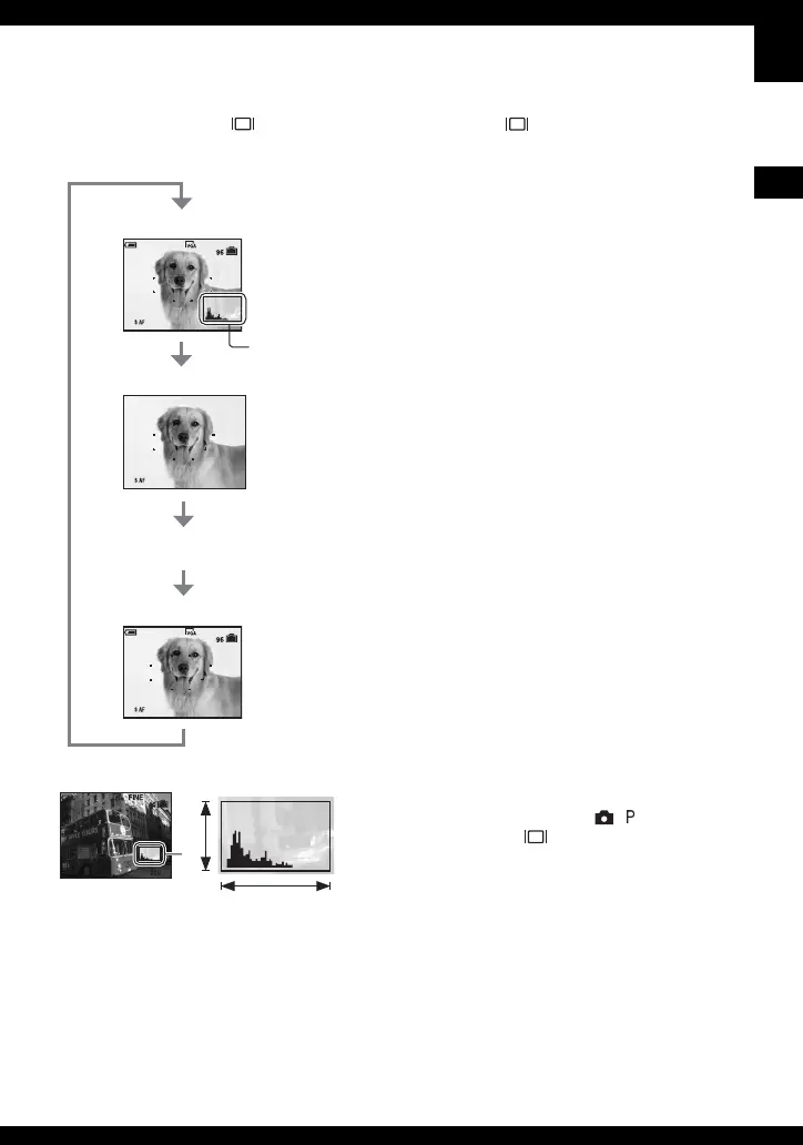 Page #23 background image