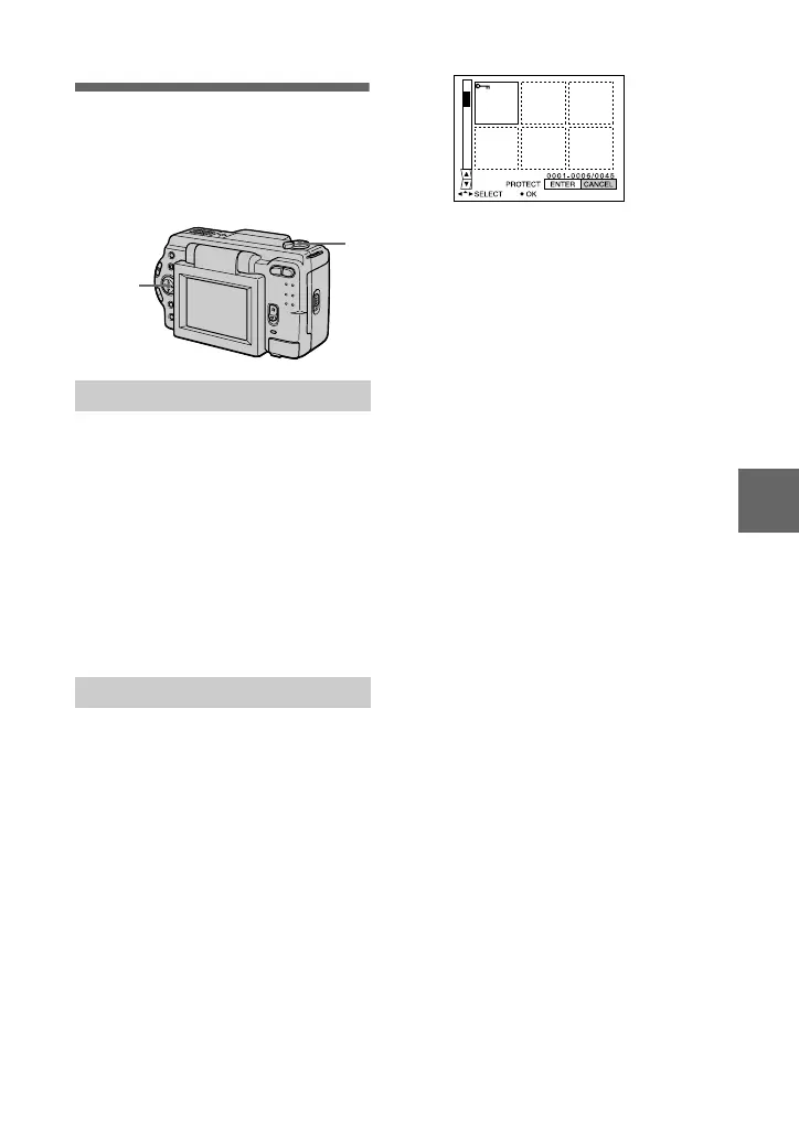 Page #49 background image