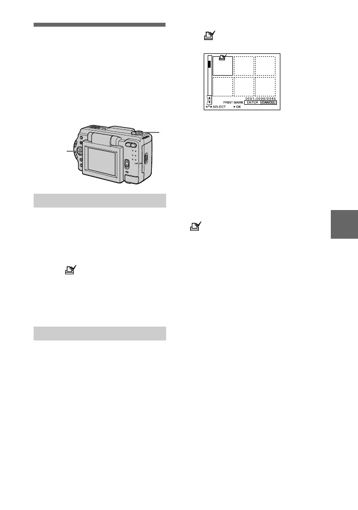 Page #53 background image