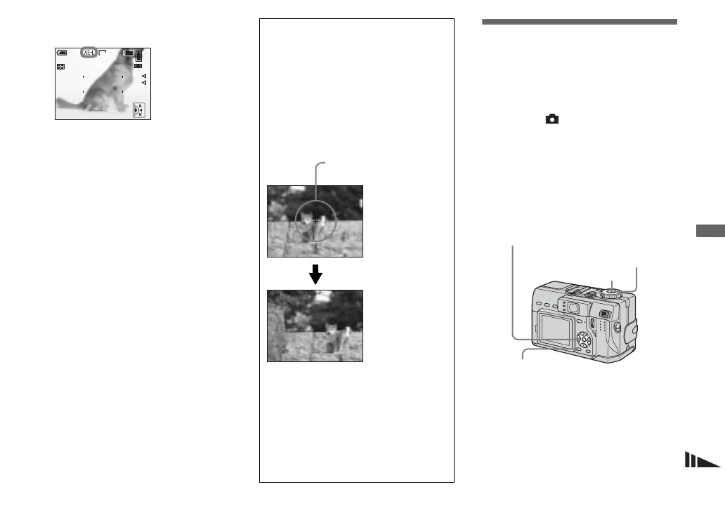 Page #53 background image