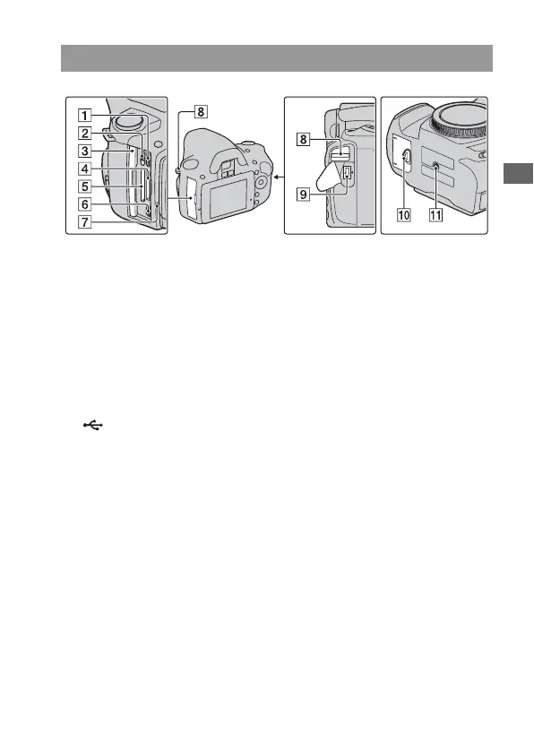 Page #37 background image