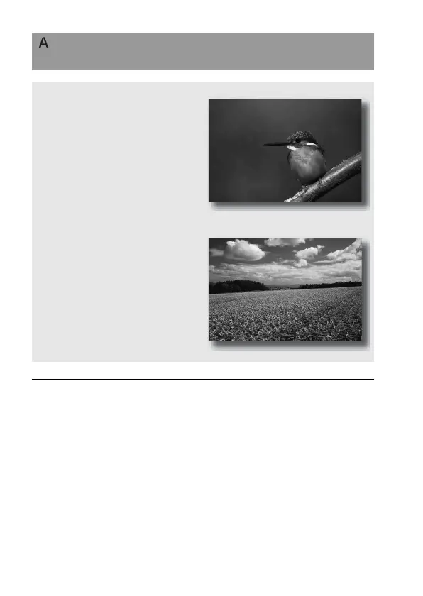 Page #60 background image
