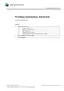 Preview: Working Instruction, Electrical