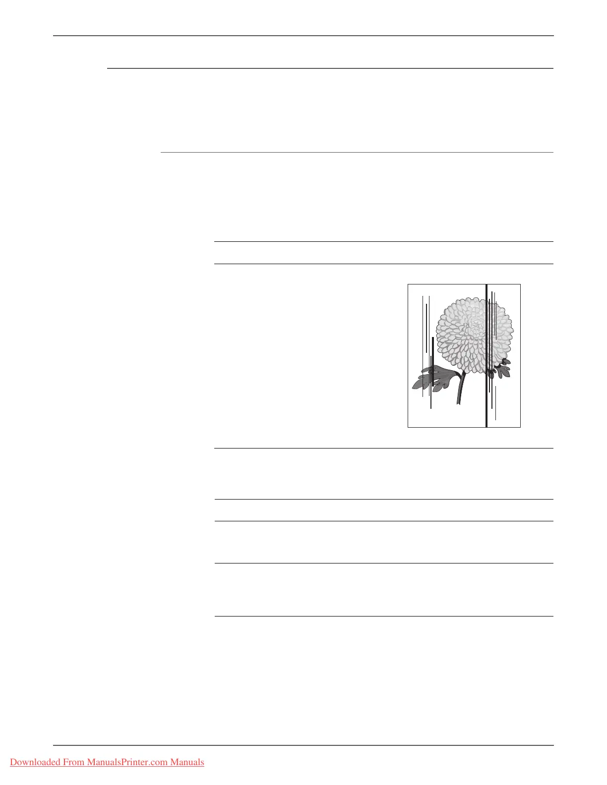 Page #127 background image