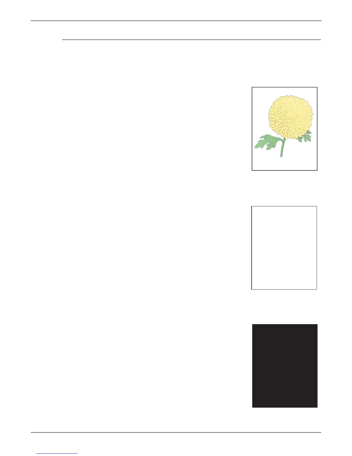 Page #320 background image