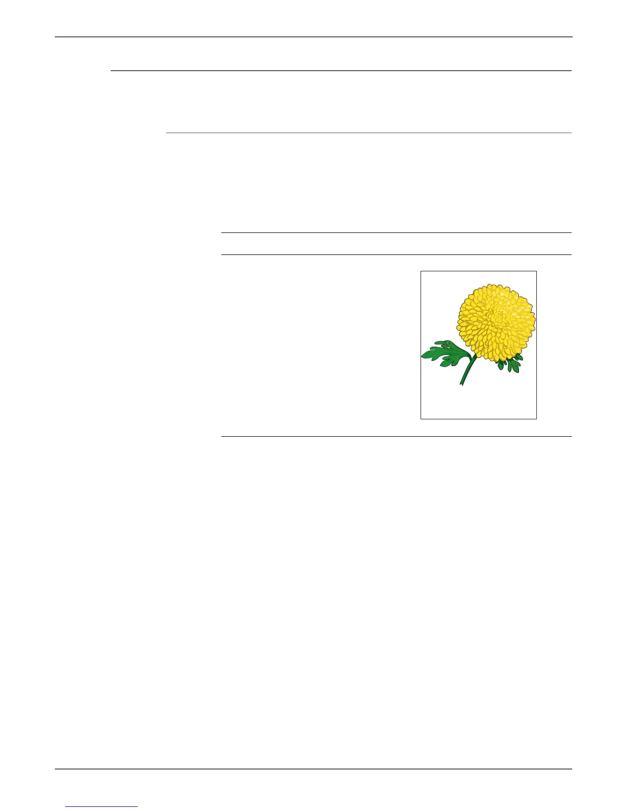 Page #348 background image