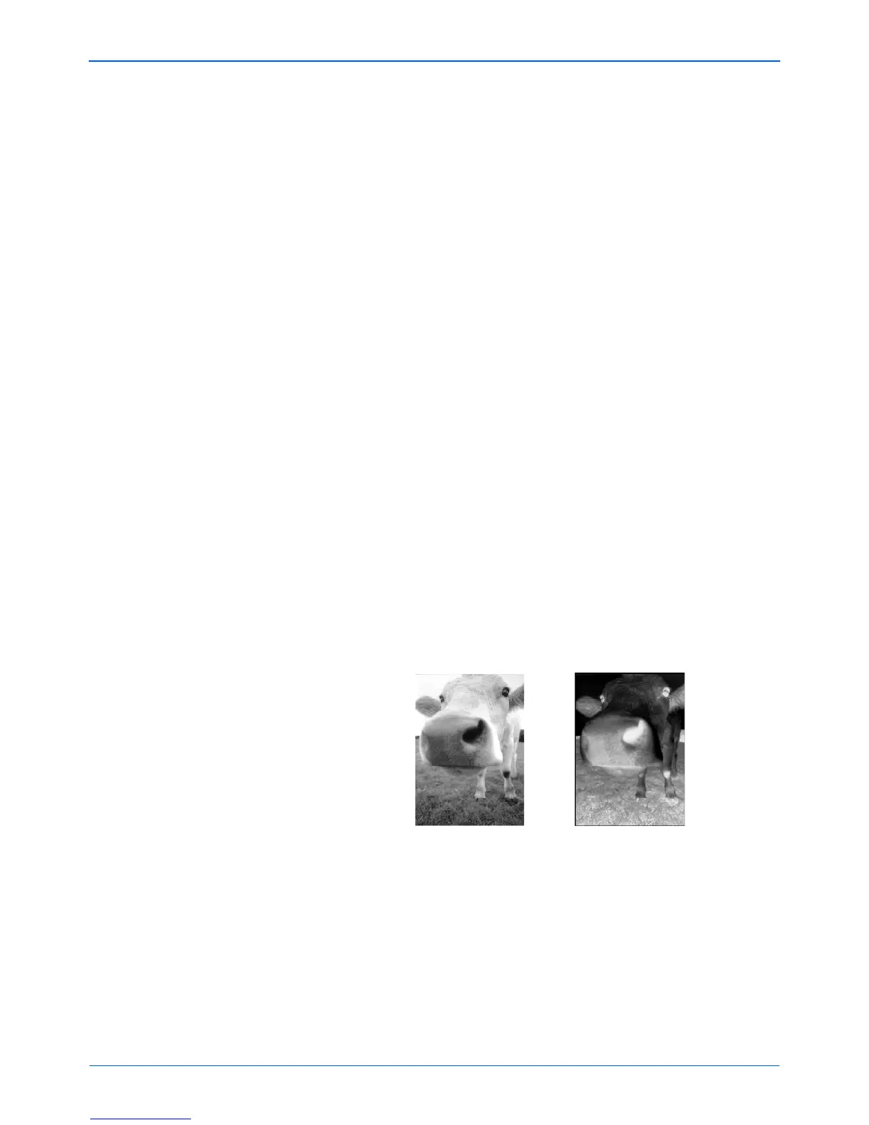 Page #60 background image