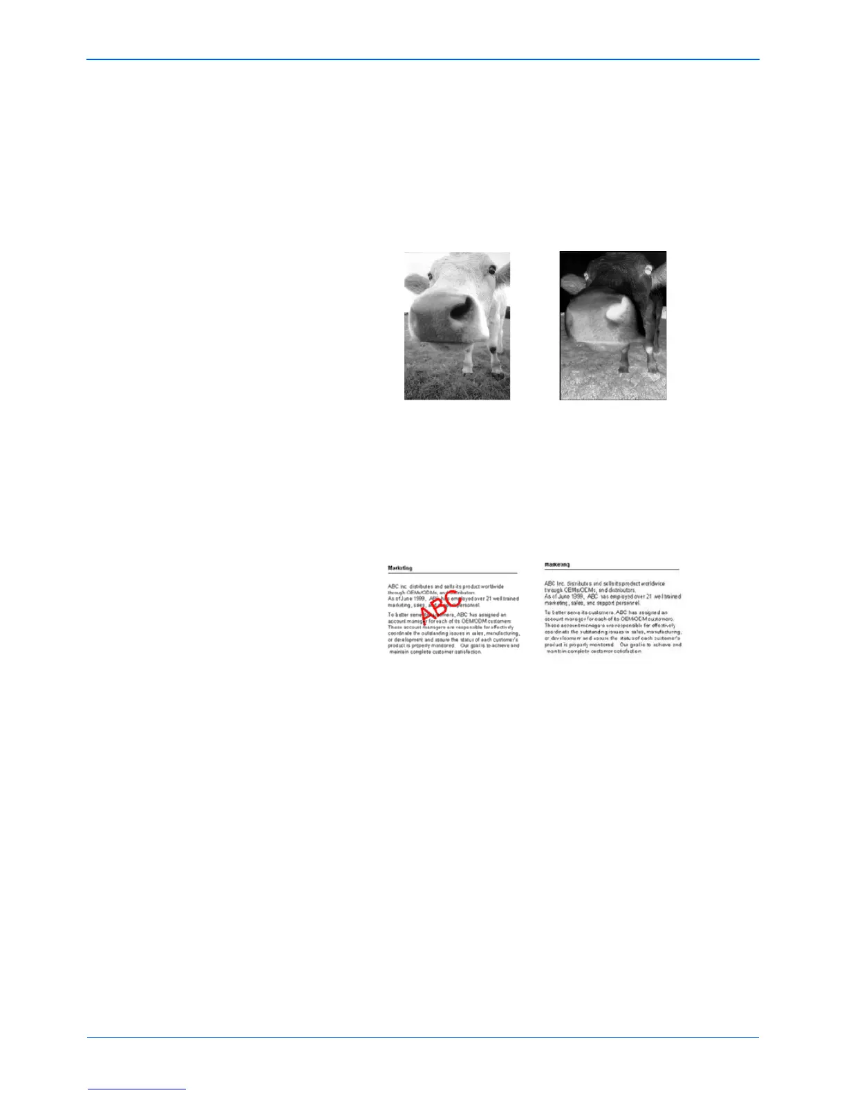 Page #36 background image