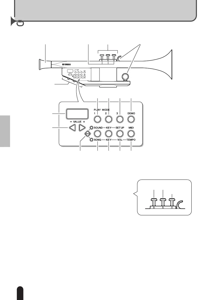 Page #8 background image