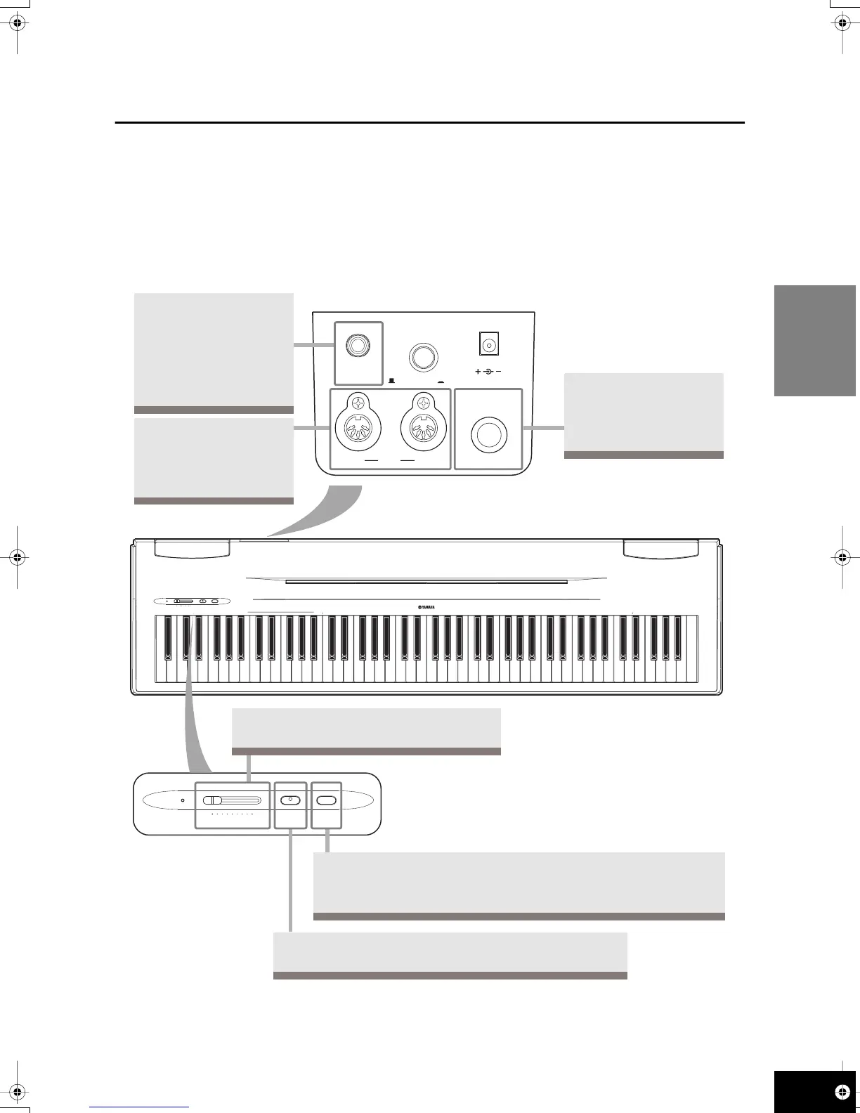 Page #9 background image