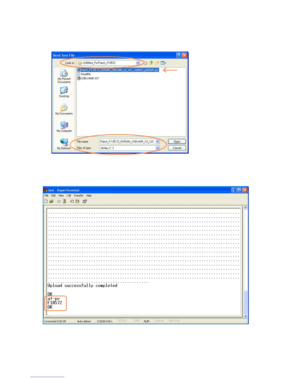 Page #3 background image