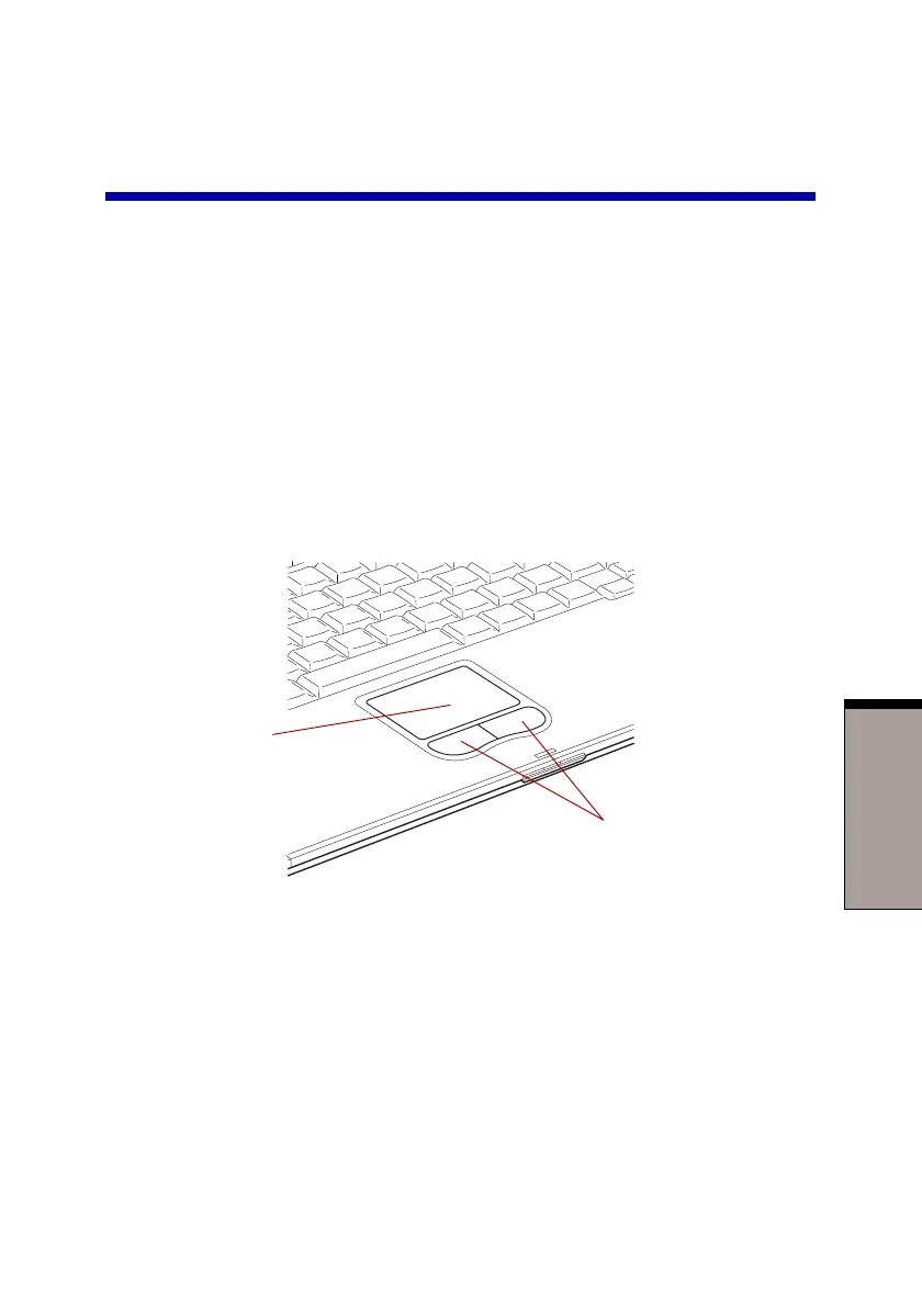Page #59 background image