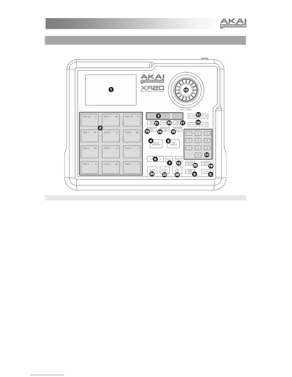 Page #19 background image