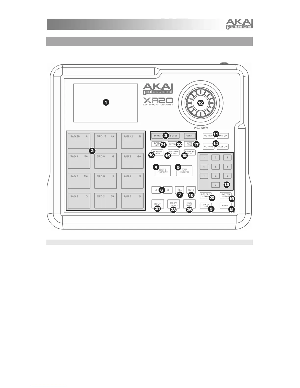 Page #5 background image